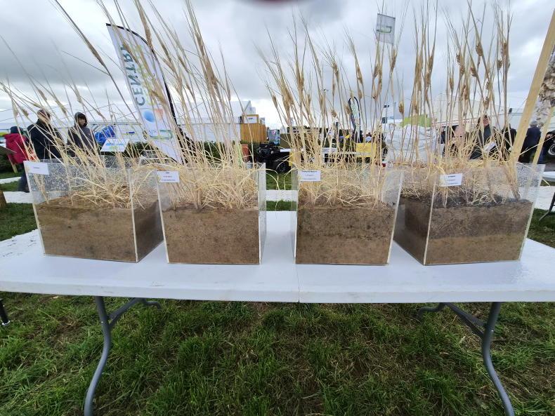 Teagasc promotes power of manures in tillage