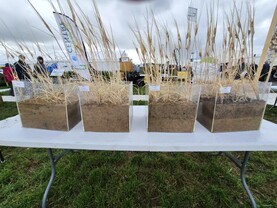 Teagasc promotes power of manures in tillage