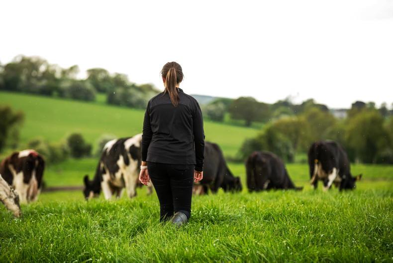 Female participation up, but demand for Teagasc Green Cert courses down