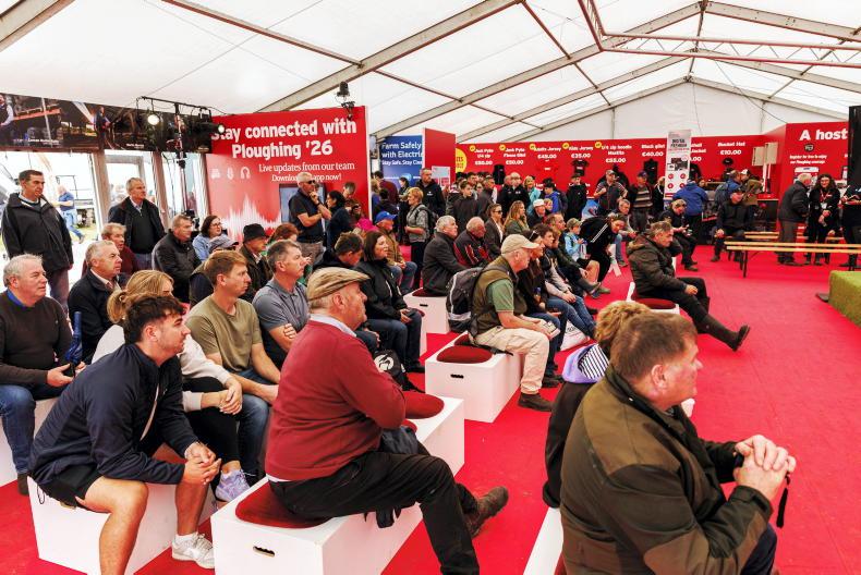 Dairy farms show resilience in 2026