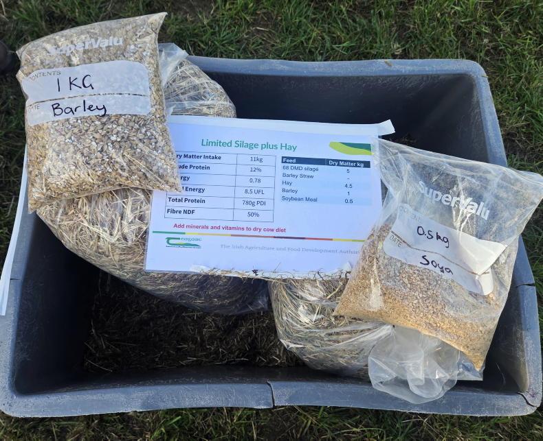 Irish grain and straw in focus for fodder stretching