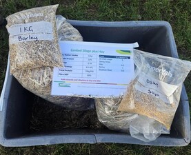 Irish grain and straw in focus for fodder stretching