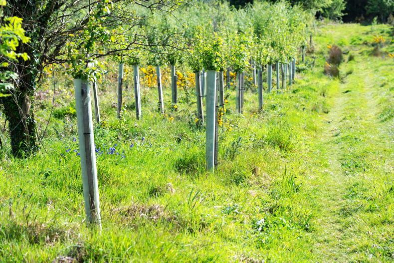 DAERA sets out its position on carbon data
