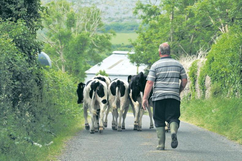 Farmers to receive ANC payments of almost €180m 