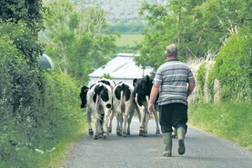 Farmers to receive ANC payments of almost €180m 