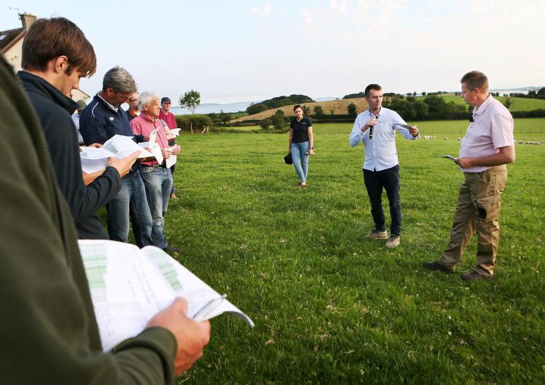 Farmers in danger of information overload