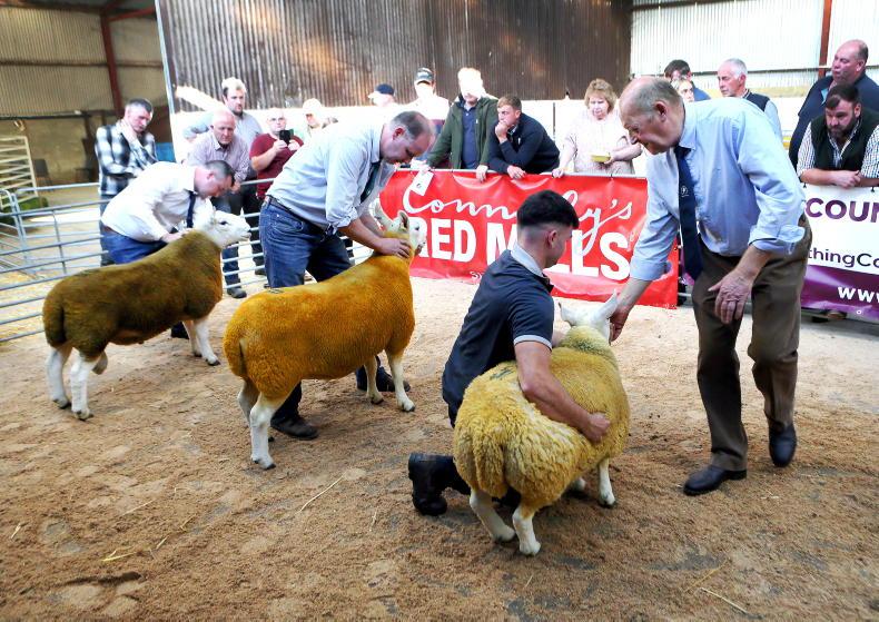 Northern Ireland diary of events