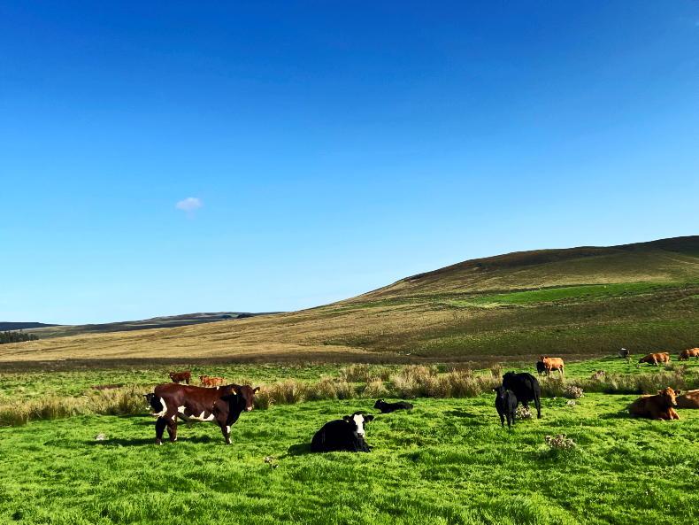 Over £12m for FwN landscape projects