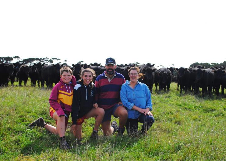How King Island farmers run thousands of cattle by growing grass year-round 