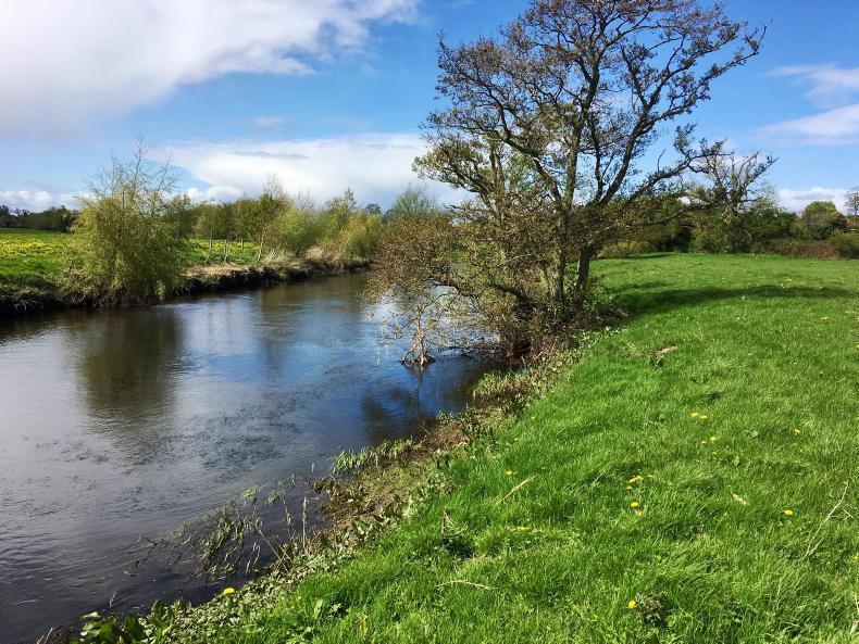 Rise in nitrogen levels in rivers in first half of 2026 – EPA