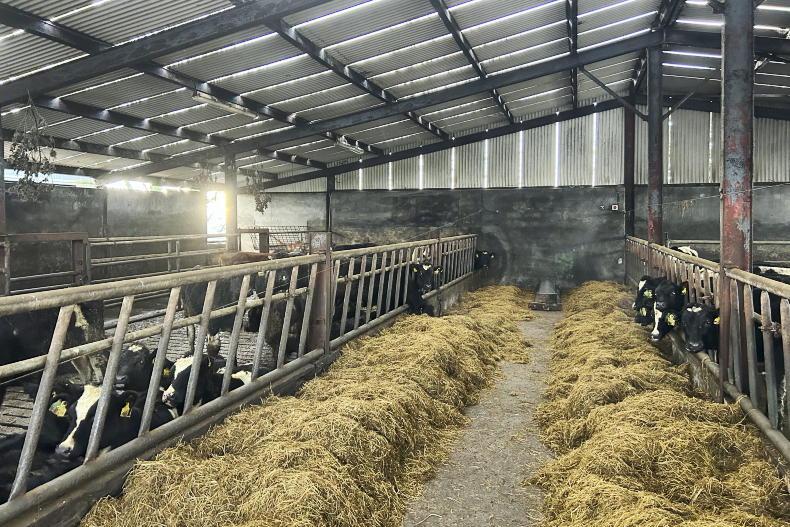 Wintering B&B options for dry stock and dairy farmers