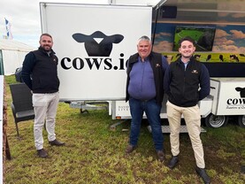 What are empty cows and in-calf heifers worth?