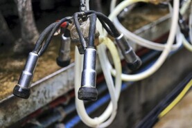 Dairygold increases August milk price as European supplies slow