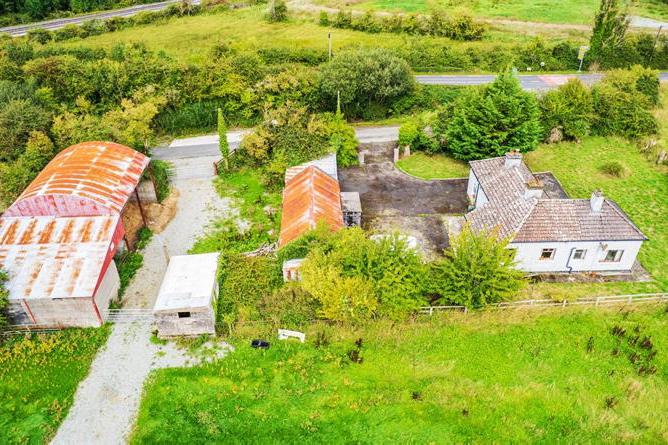 Hammer time nears for trio of Lilywhite farms