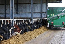 'Do the maths' before buying cattle this winter