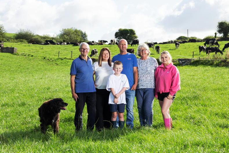 Milking 81 cows and keeping evenings for family on a west Cork farm