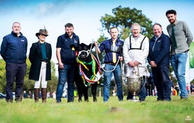 Liss heifer is Irish Aberdeen Angus all-Ireland champion for 2026
