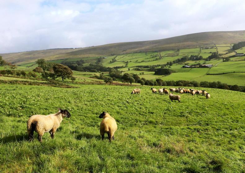 Weekend weather: rain to clear Friday for a drier weekend
