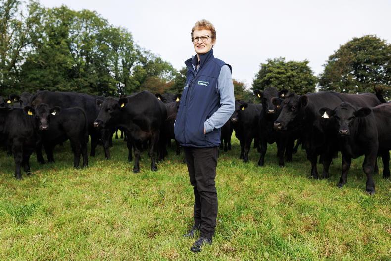 My Farming Week: How Kay O'Sullivan runs her Cork farm without buying ration