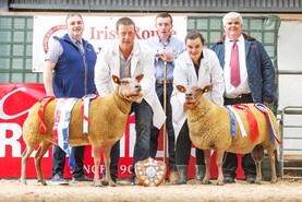Seeorum flock tops Irish Rouge de l’Ouest Sheep Society Premier Show and Sale