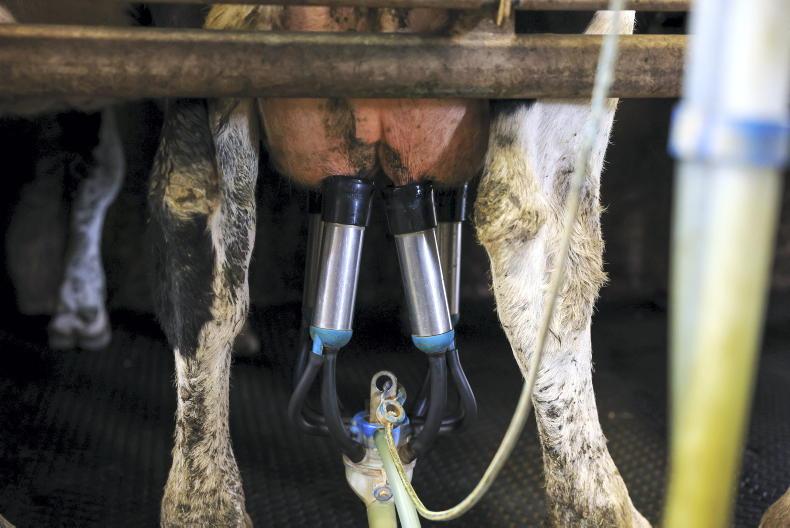 Tirlán sets August milk price and four-month milk price floor