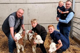 Katie Taylor's husband visits 400,000/1 newborn triplet calves in Meath