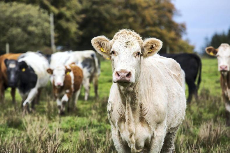 Most farmers do not want lower BISS cut to fund a revival of headage