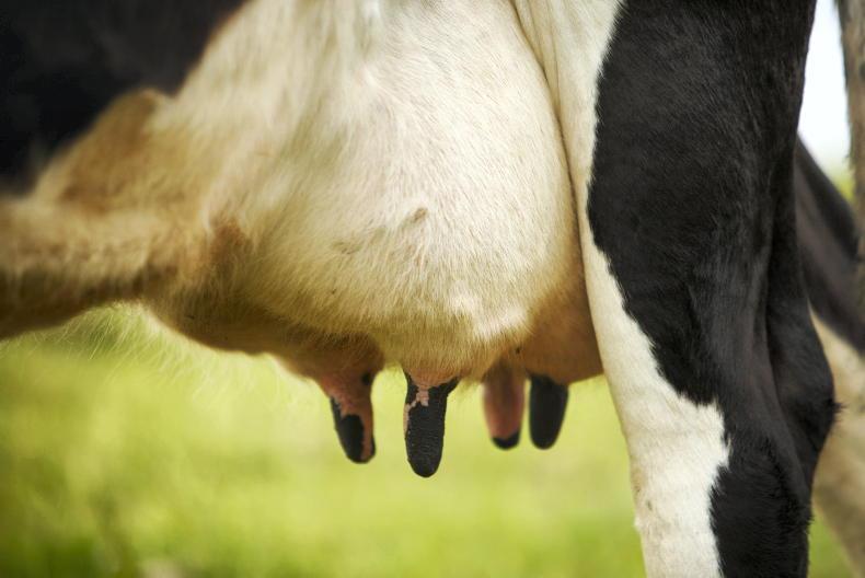 Carbery lifts August milk price and continues support payment