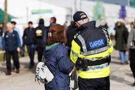 Gardaí confirm nine people were arrested at National Ploughing Championships