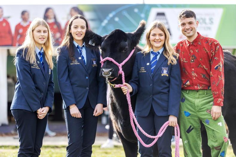 Watch: secondary schools take Angus calves home from the Ploughing
