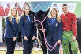 Watch: secondary schools take Angus calves home from the Ploughing