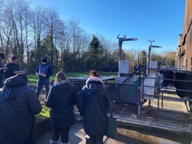 Winter Milk Research Update from Teagasc Johnstown Castle