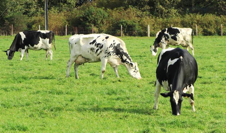 Strong growth continues to build grass supply