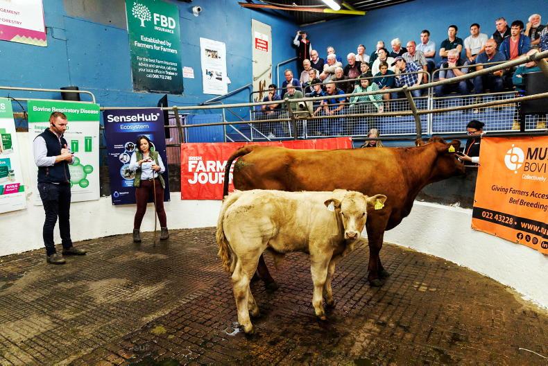 Irish Farmers Journal partners with Teagasc and AI companies for 15 mart events