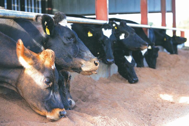 Money Mentor: how do I prepare for a fodder shortage in winter?