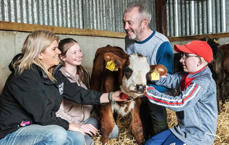 Why Fergal Hanrahan invests in quality milk replacer for his beef calves 