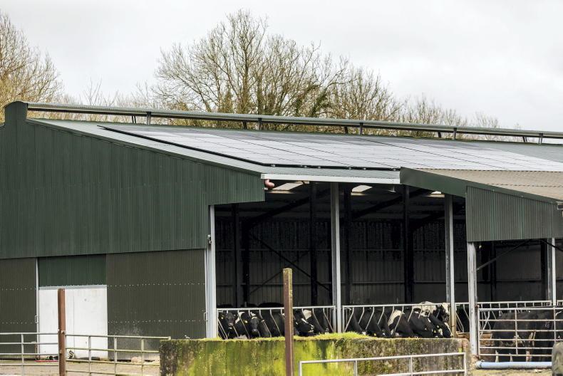 Farmers 'ready for rooftop solar panels', but 90% of TAMS grants rejected