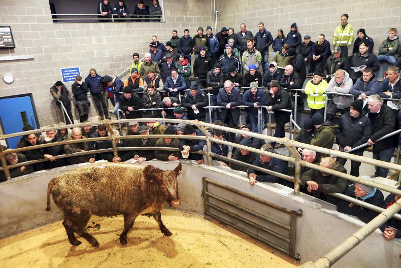 Northern Ireland diary of events