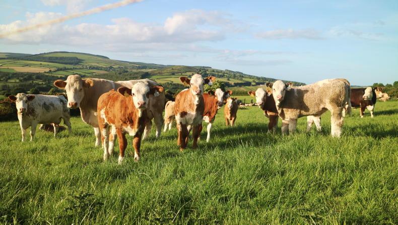 Real-time nitrates figures on the horizon
