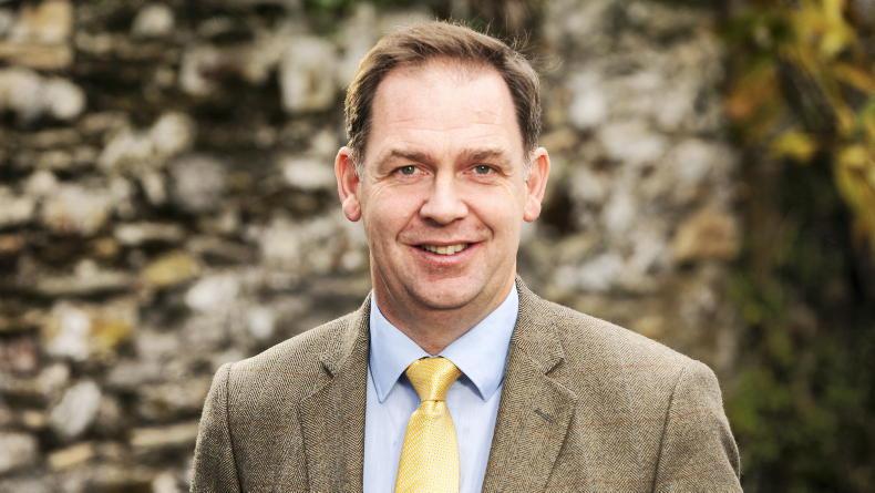 Wexford farmland makes €29,000/acre