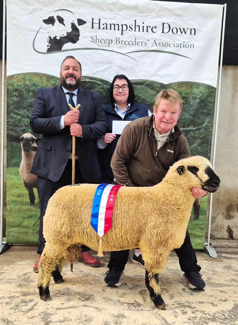 Every lot sells at Hampshire Downs sale as judge buys champion ewe lamb