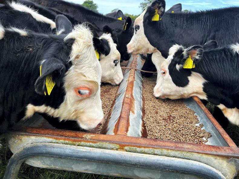 Feed price hike of €20–25/t in the pipeline
