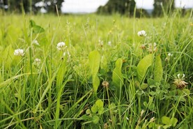 Weekly news in brief for NI farmers