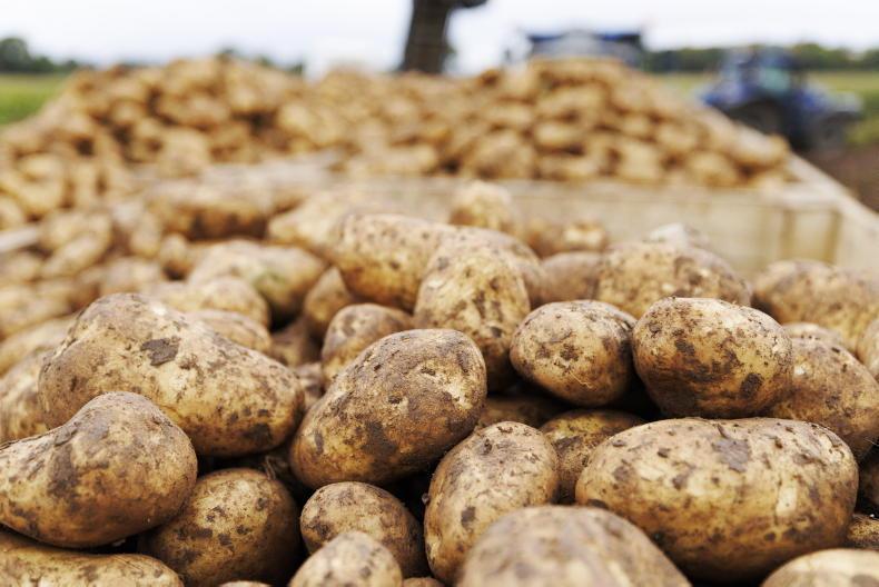 Glens of Antrim Potatoes ceases trading