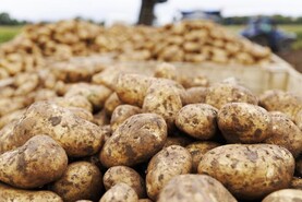 Glens of Antrim Potatoes ceases trading