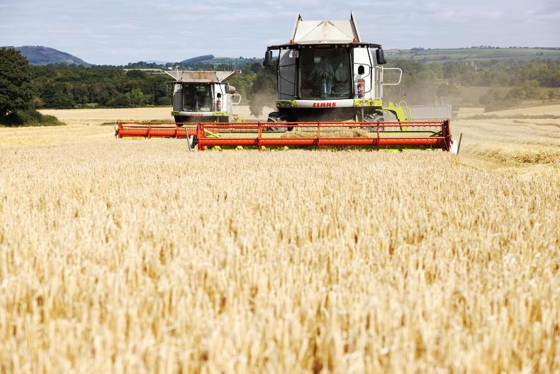 Malting barley premium under threat, grain growers group warns