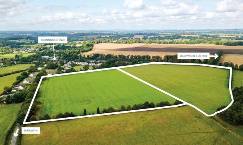 Kildare land 30 minutes from Dublin city centre among three farms up for auction