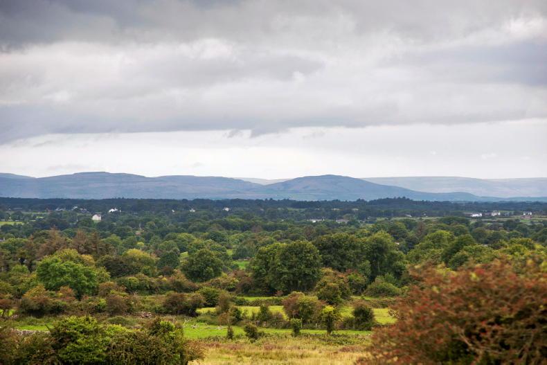 Bluetongue: 10-day vaccine delay saw 15% of ewes lost on English farm
