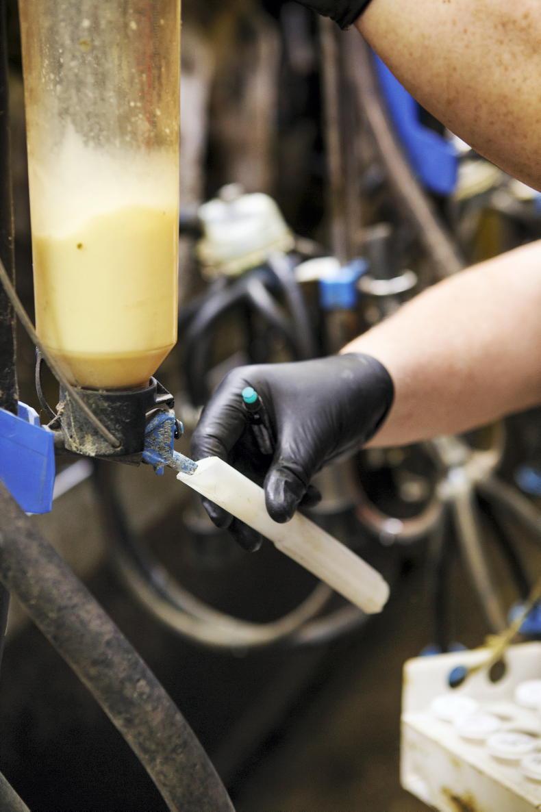 Vet's Corner: Late season milk recording – more than just a set of figures