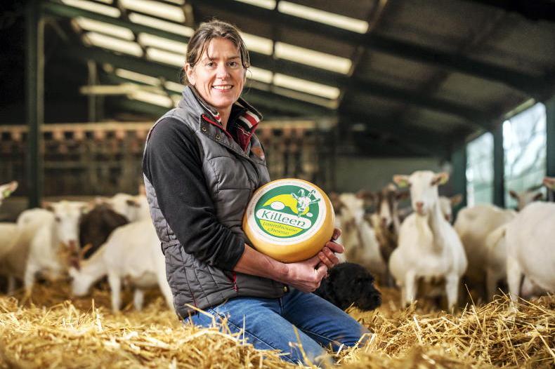 Celebrating 50 years of Irish farmhouse cheese and its newest stars